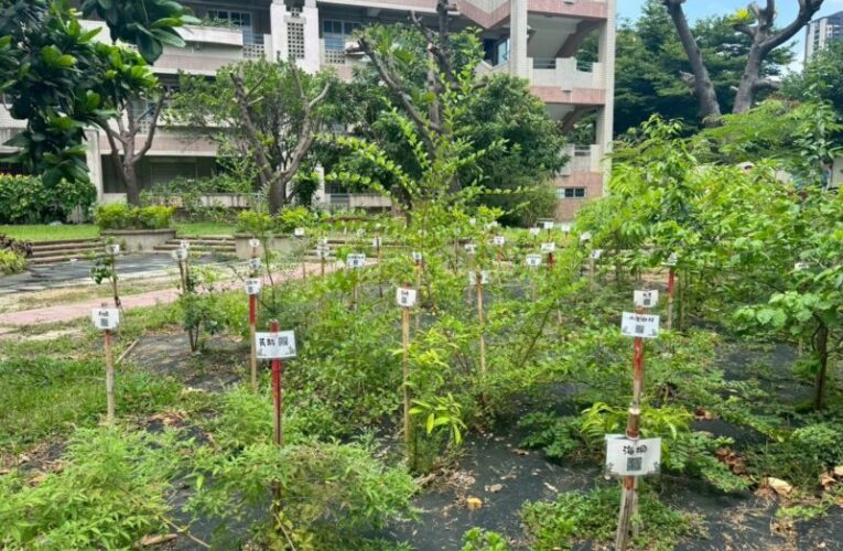 從樹苗到森林　台中市教師共同打造淨零綠校園藍圖