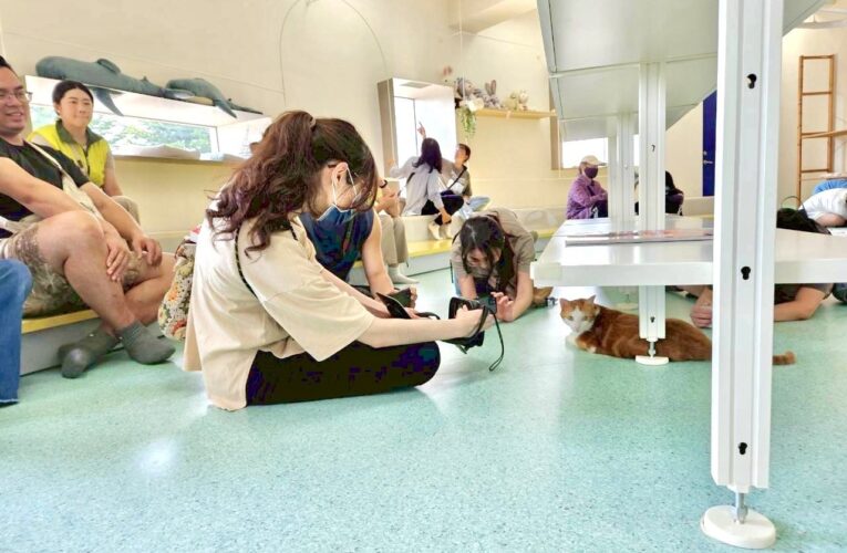 捕捉專屬毛孩網美時刻！毛孩攝影課動物之家后里園區開課