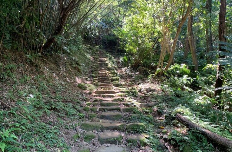 桃園秘境浪漫行！譜七夕山林戀曲走訪打鐵寮古道、白石山百合