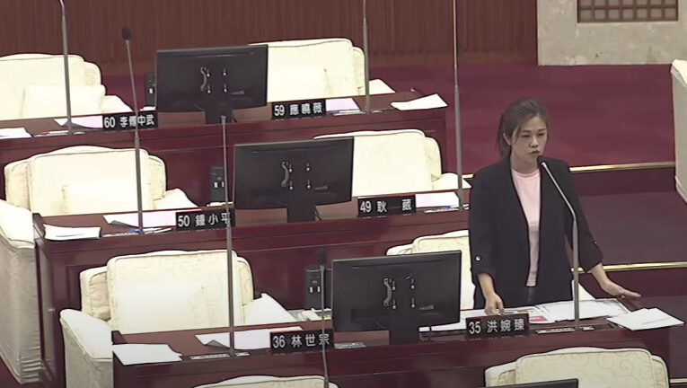 北市又爆兒虐案　洪婉臻：市府「三年稽查一次」不符家長期待