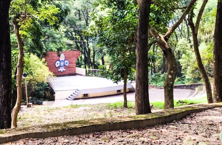 低碳中秋「無煙團聚」！　中市府推賞月賞景取代傳統烤肉