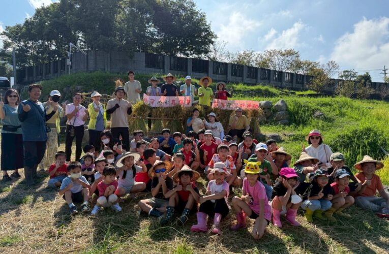 「食農小學堂」開課！陽明山平等國小在鵝尾山「割稻」迎好運