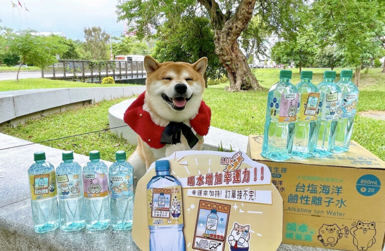 台塩海洋鹼性離子水×柴語錄超萌開賣 喝水補「柴」氣！
