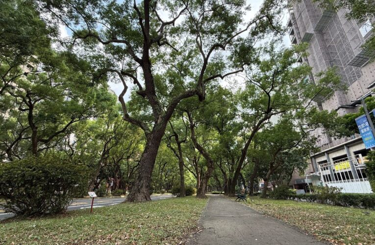 降溫3度！北市仁愛路「天然冷氣房」真相大公開