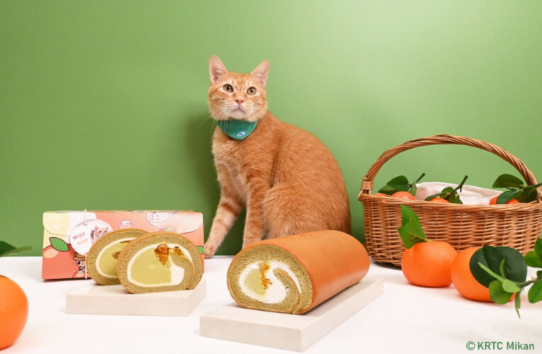 亞尼克攜手高捷推出百元元氣蜜柑生乳捲9/17開搶