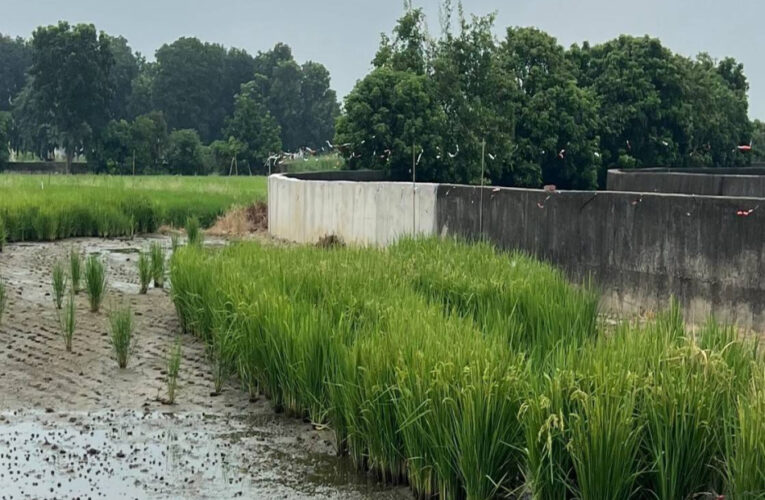 後壁區排水擋土牆颱風崩裂 水利局搶修並推補強工程