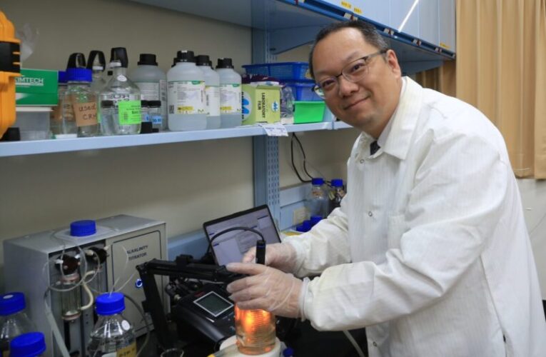 中山大學研究：海洋增鹼可吸碳、緩解酸化