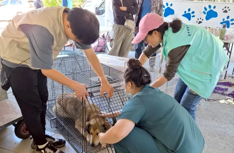 落實山區犬貓源頭管理　中市動保處梨山專案巡迴注射活動圓滿落幕