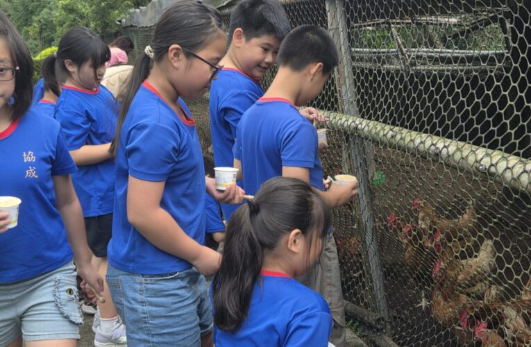 「香菇進校園」！　台中協成社區推食農教育 學童樂學從產地到餐桌
