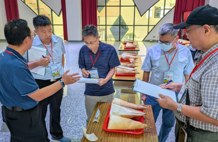 中市北屯區優質麻竹筍評鑑活動今登場　劉晏誠勇奪麻竹筍冠軍