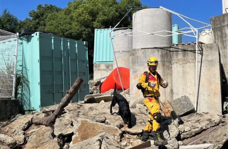 提升搜救能量  竹市消防局舉辦IRO國際搜救犬認證
