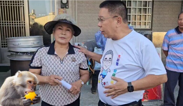 蔡育輝議員：台南猴害防治消極　籲市府中央協調資源