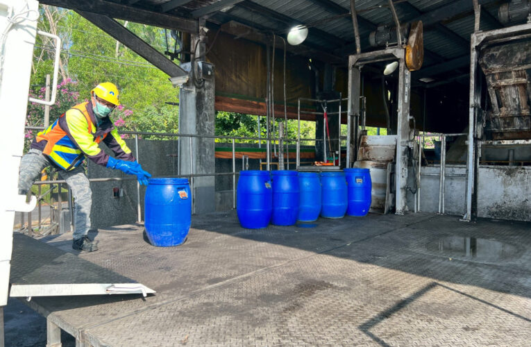防堵本土非洲豬瘟擴散！南市府籲惜食減廢守住防線