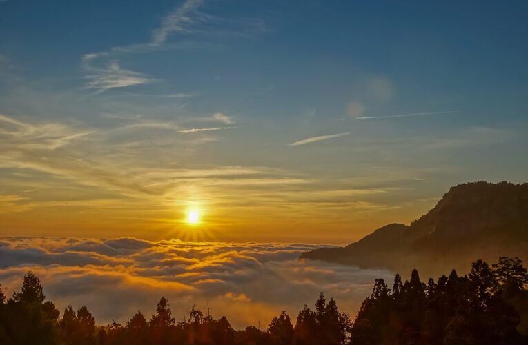 阿里山神木婚禮入住阿里山賓館　盡享絕美無價雲瀑流雲婚旅