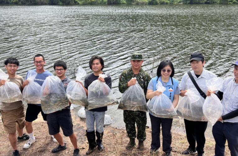 守護金門珍貴原生淡水魚類  縣府野放大鱗梅氏鯿