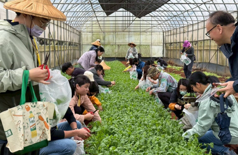 環教結合AI！桃園環保局推創意行銷工作坊 從農場到公益實踐永續行動