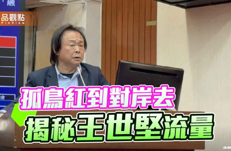 王世堅再創現象級迷因 綠營孤鳥卻擁兩岸高人氣