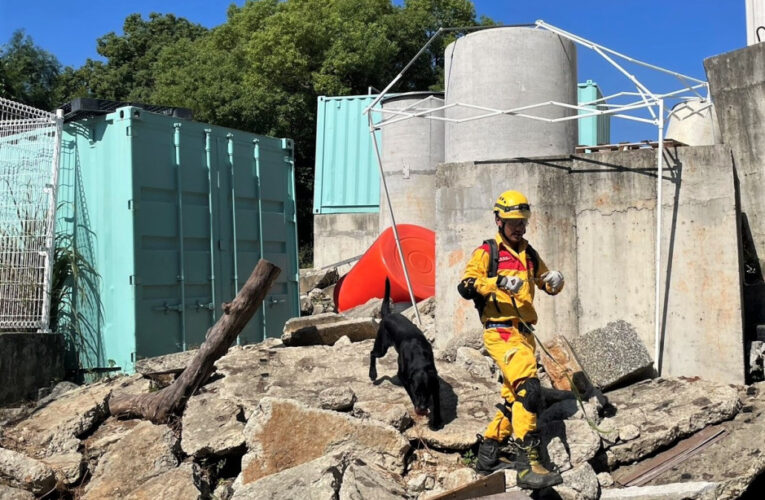 提升搜救能量　竹市消防局再度承辦IRO國際搜救犬認證