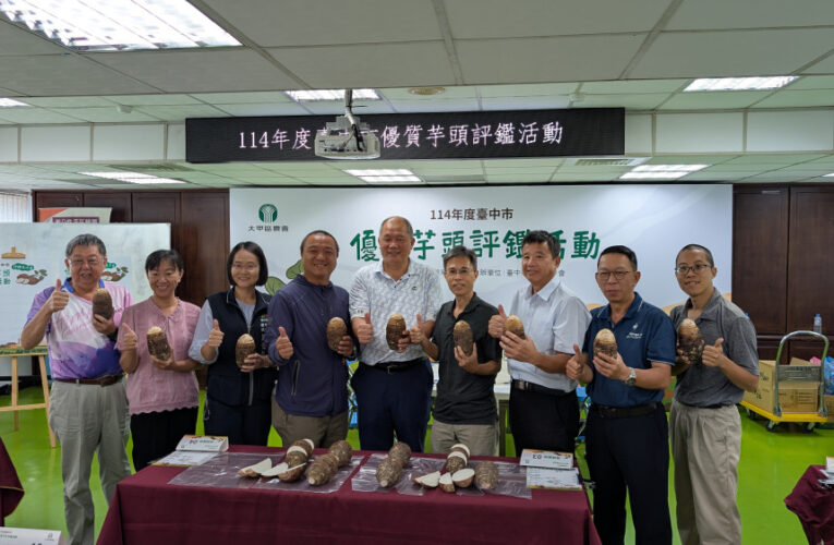 台中芋頭享譽全國   芋頭評鑑大甲區王忠信勇奪冠軍頭銜！