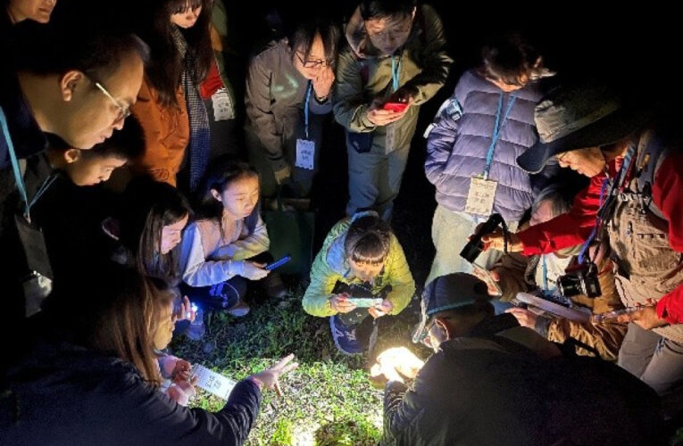 滿月圓「護蛙季」登場　林保署新竹分署邀大小朋友圓滿護蛙趣！