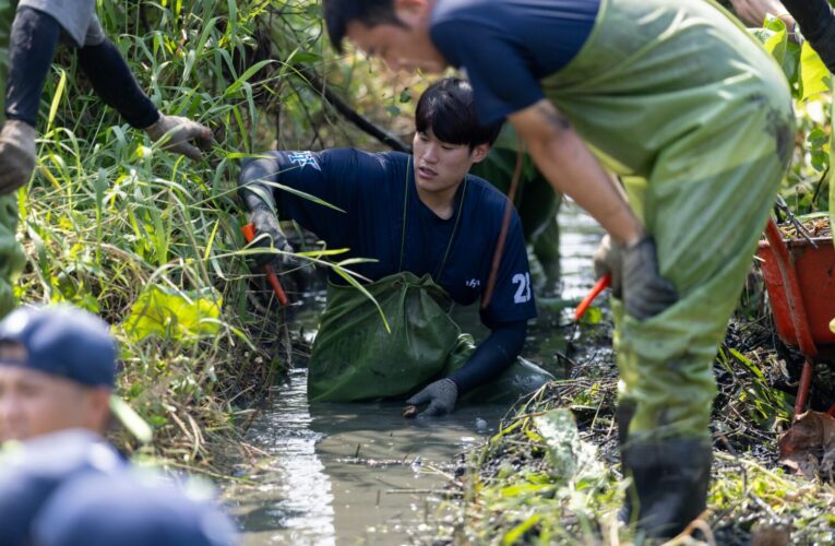 守護城市綠肺　臺北興富發棒球隊落實生態永續