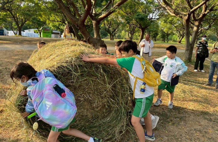 一日酪農體驗　讓孩子學會珍惜盤中飧