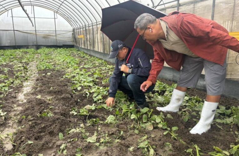 勘查農田水利溝渠及蔬菜受災現況　農業局將報請農業部現金救助　