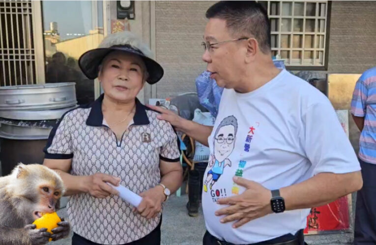 滿山滿谷野猴肆虐 農作物遭殃　農民怒喊：欲哭無淚！