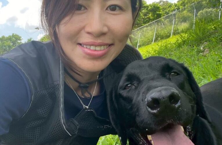 基隆2搜救犬備戰IRO國際測驗　挑戰瓦礫搜索任務