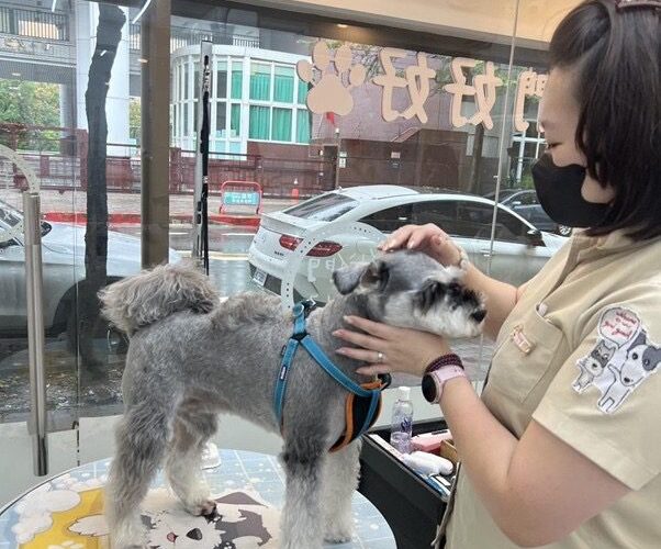 寵物美容業導入雲端方案數位轉型計畫　艾美力科技整合寵物美容預約系統
