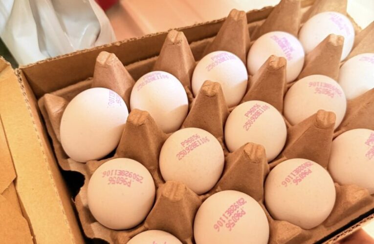 因應友善雞蛋潮　好市多動福蛋成料理新寵　網友推爆：安心又美味