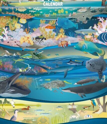 以12棲地描繪萬物共生之美 海保署推出2026海洋保育年曆《棲居於海・萬物盛典》即日起開放預購
