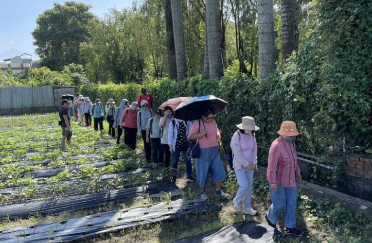 來一場產地到餐桌深度之旅 2025客家大地餐桌 探索高雄右堆客庄