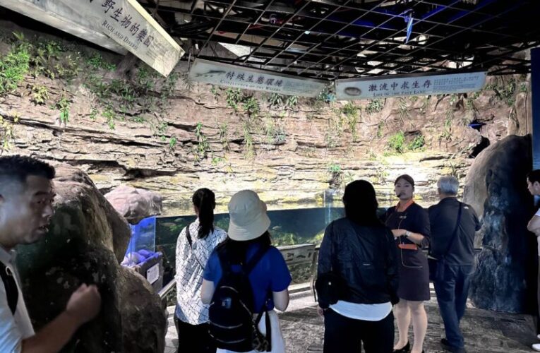 韓國媒體、旅行業者屏東深度踩線　感受南國熱情與城市風光