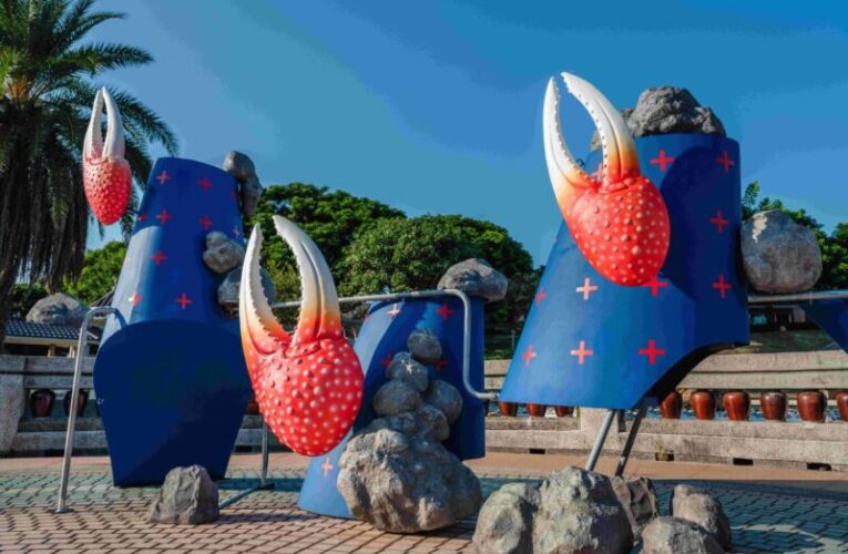 傾聽濕地的聲音與招潮蟹共舞   清水走走藝術季邀隨潮汐旅行