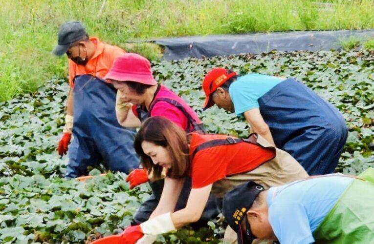李雨庭議員帶隊體驗菱角文化 林園各社區參訪大寮拷潭社區　學習地方創生經驗