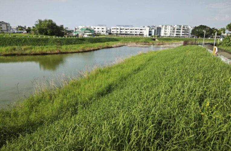 柳營櫻花社區抽水站基礎完成  預計115年汛期前正式完工啟用
