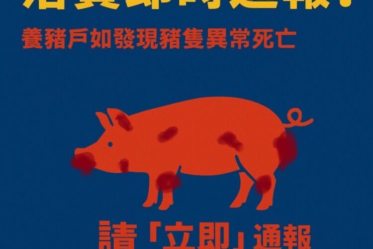 防堵非洲豬瘟入侵 南市跨局處動員五大防線阻絕