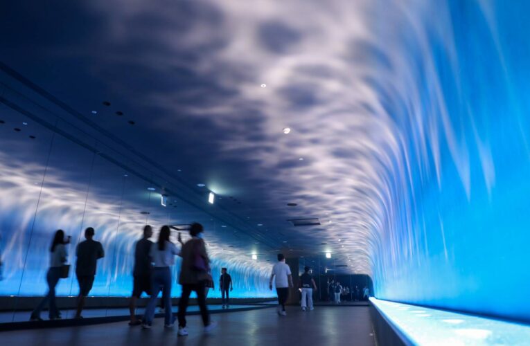 「台中海洋館」歷經三任市長終開幕！　盧市長：四大創舉實現孩童夢想