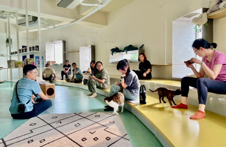 社工師攜手心理師　動物之家舉辦「與犬同行」療癒工作坊　探索自我與情感照顧