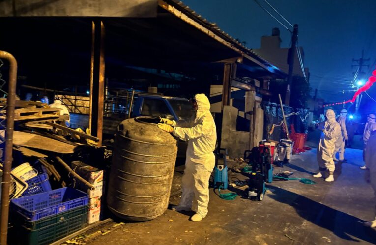非洲豬瘟案場髒亂超預期！　市府與十軍團聯手徹夜啟動消毒前清理 第二輪人力接手