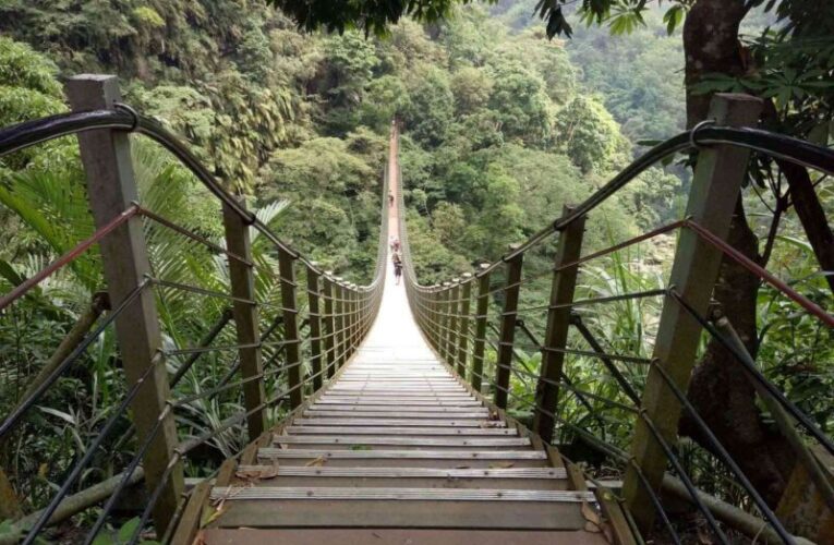 受災復建休園中的竹山天梯明年3月重新開放