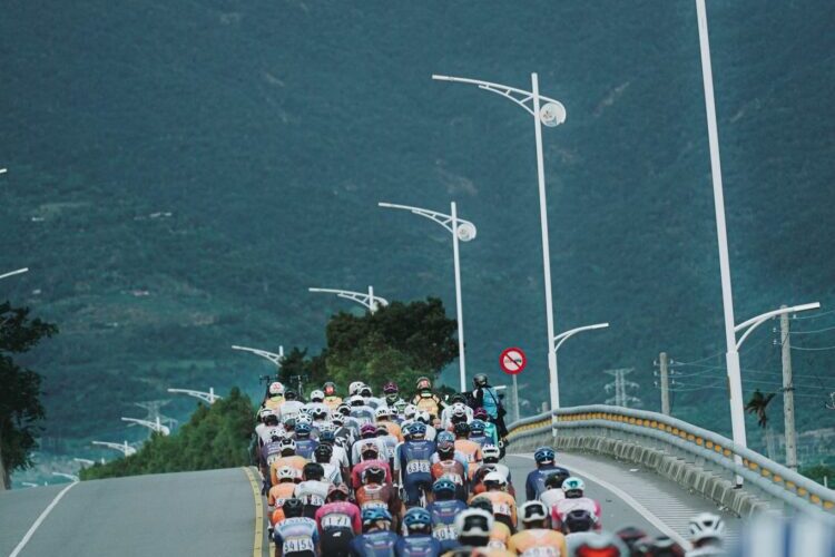 2025 全國自由車公路錦標賽圓滿落幕