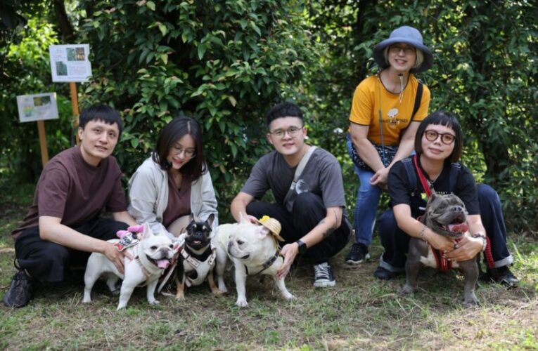 體驗一日農夫生活 15隻毛孩化身「農田小幫手」！好伴狗狗戴草帽下田挖地瓜