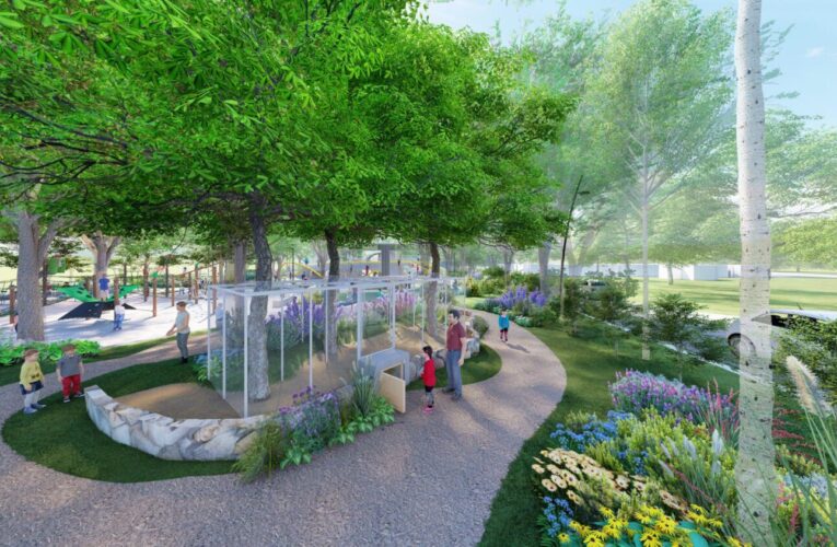 全台最「生態系」特色公園在東勢　獨角仙主題×戲水×共融遊具一次滿足