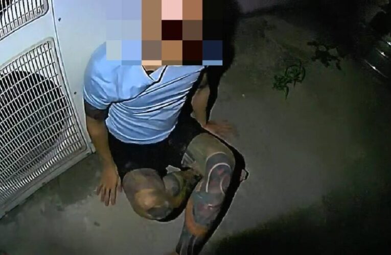 讓你10公斤還跑輸！通緝男假藉「尿遁」脫鞋狂奔　最終敗在體力差被逮