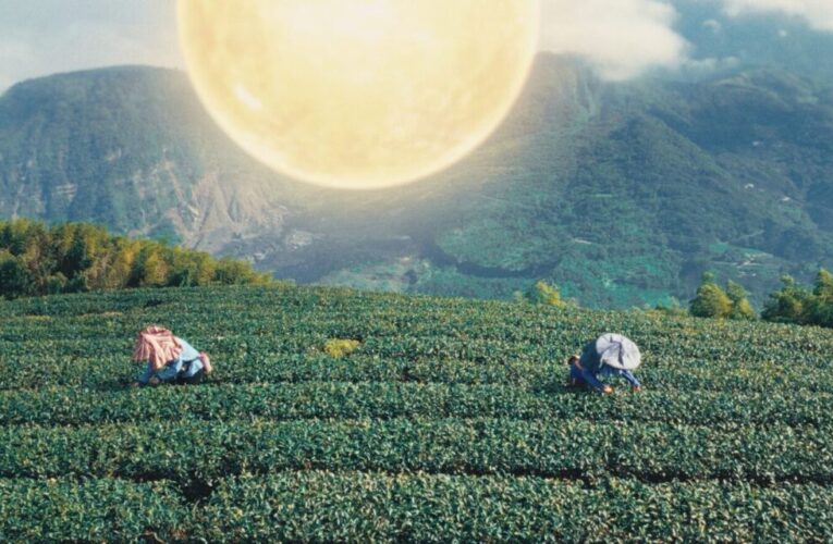 嘉義縣發布「太陽之都X嘉義人」2026台灣燈會形象影片展現城市魅力