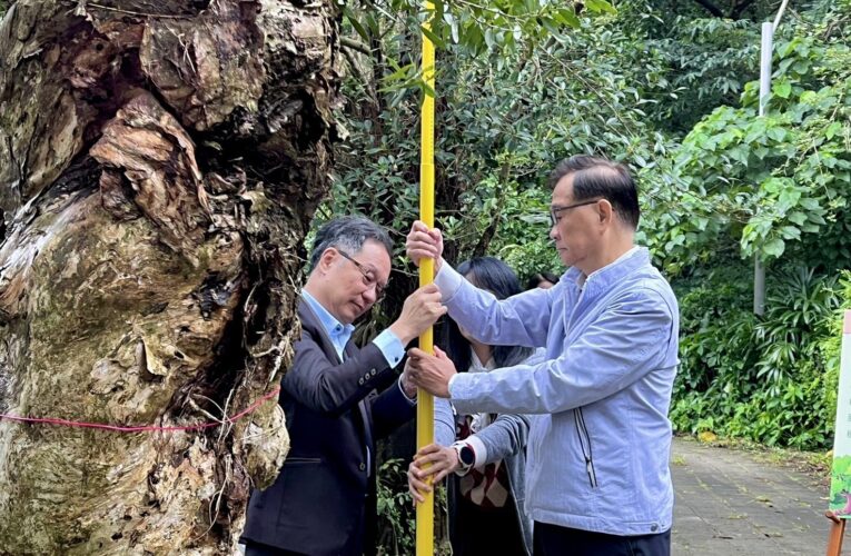 北市淨零教育里程碑！47所先鋒學校完成碳盤查　四年計畫邁向碳中和校園