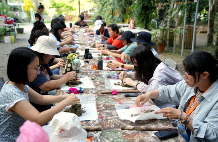 從百年茶廠到泰雅香草園　竹縣農遊品牌「逐風趣」以綠色旅遊支持地產地消
