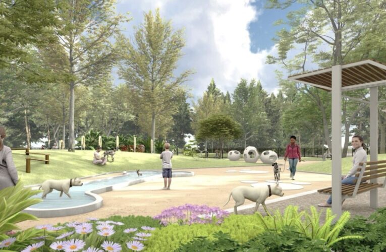 台南永康創意園區增添大型公園  40米綠蔭大道 千坪寵物公園